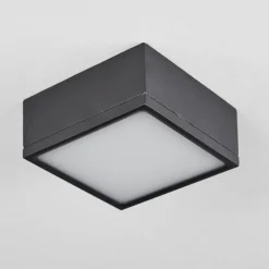 Plafonnier Netstal LED Anthracite, 1 lumière