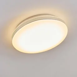 Plafonnier Niebla LED Blanc, 1 lumière