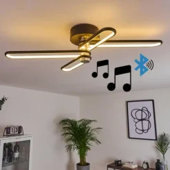 Plafonnier Olul LED Noir, Blanc, 2 lumières