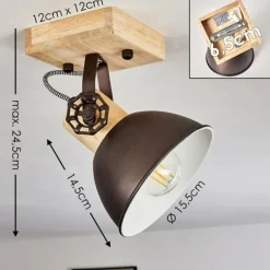 Plafonnier Orny Brun, Noir, 1 lumière