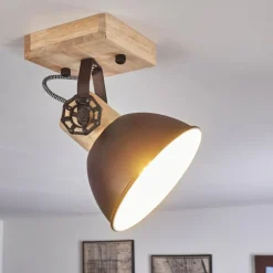 Plafonnier Orny Brun, Noir, 1 lumière