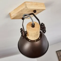 Plafonnier Orny Brun, Noir, 1 lumière