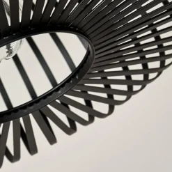 Plafonnier Ovari Noir, 1 lumière