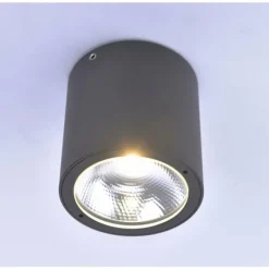 Plafonnier Paul Neuhaus GEORG LED Anthracite, 1 lumière