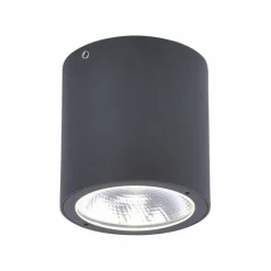 Plafonnier Paul Neuhaus GEORG LED Anthracite, 1 lumière