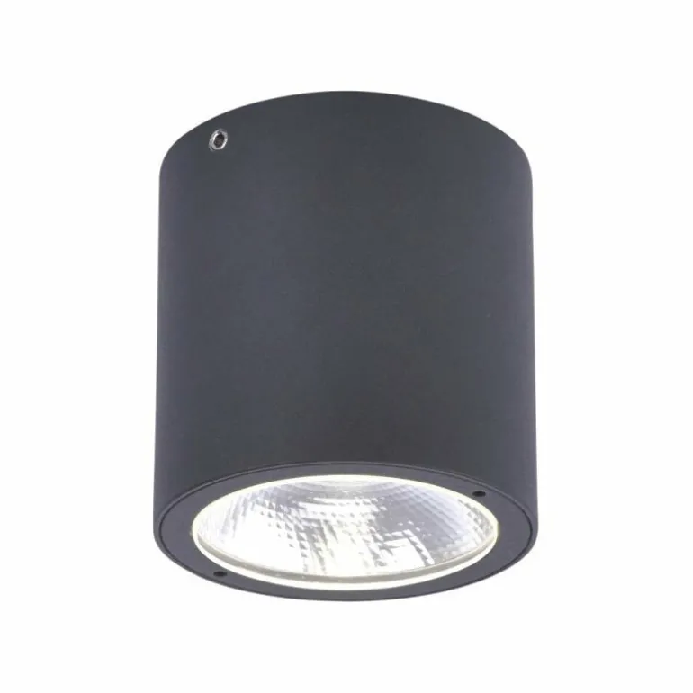 Plafonnier Paul Neuhaus GEORG LED Anthracite, 1 lumière