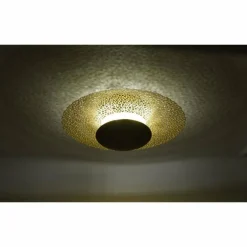 Plafonnier Paul Neuhaus NEVIS LED Rouille, 1 lumière