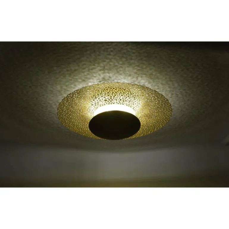 Plafonnier Paul Neuhaus NEVIS LED Rouille, 1 lumière
