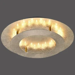 Plafonnier Paul Neuhaus NEVIS LED Or, 1 lumière