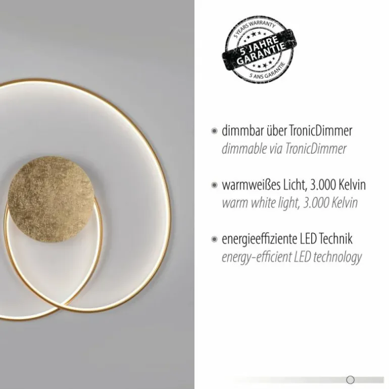 Plafonnier Paul Neuhaus NASTRO LED Or, 1 lumière