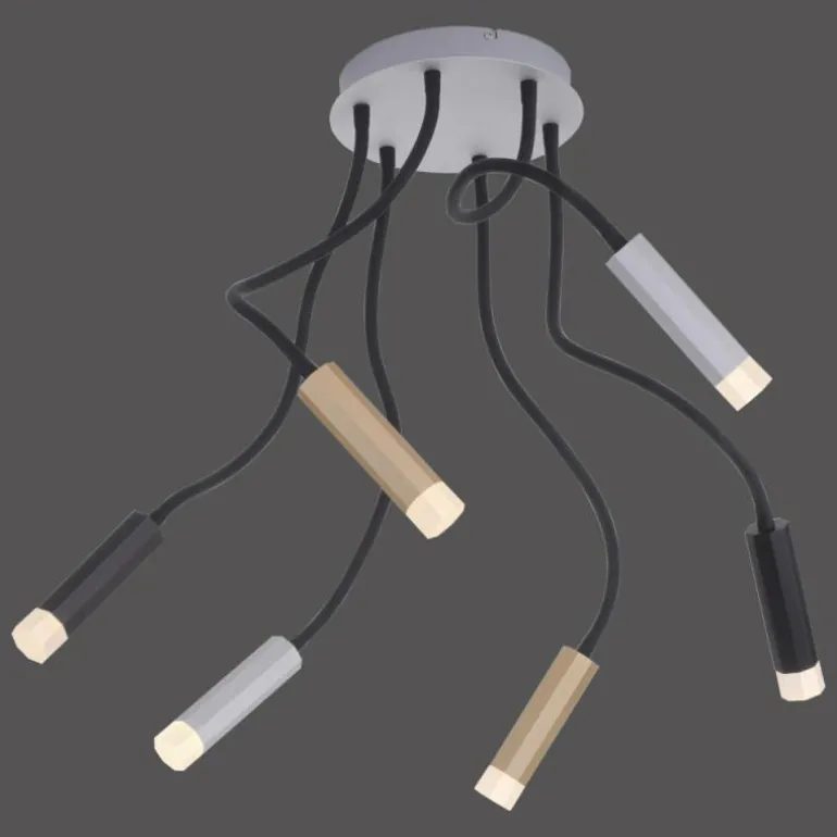 Plafonnier Paul Neuhaus PURE-GEMIN LED Aluminium, Laiton, Noir, 6 lumières