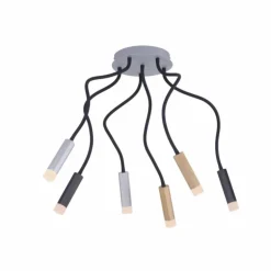 Plafonnier Paul Neuhaus PURE-GEMIN LED Aluminium, Laiton, Noir, 6 lumières