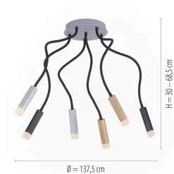 Plafonnier Paul Neuhaus PURE-GEMIN LED Aluminium, Laiton, Noir, 6 lumières