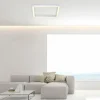 Plafonnier Paul Neuhaus PURE-LINES LED Aluminium, 1 lumière, Télécommandes