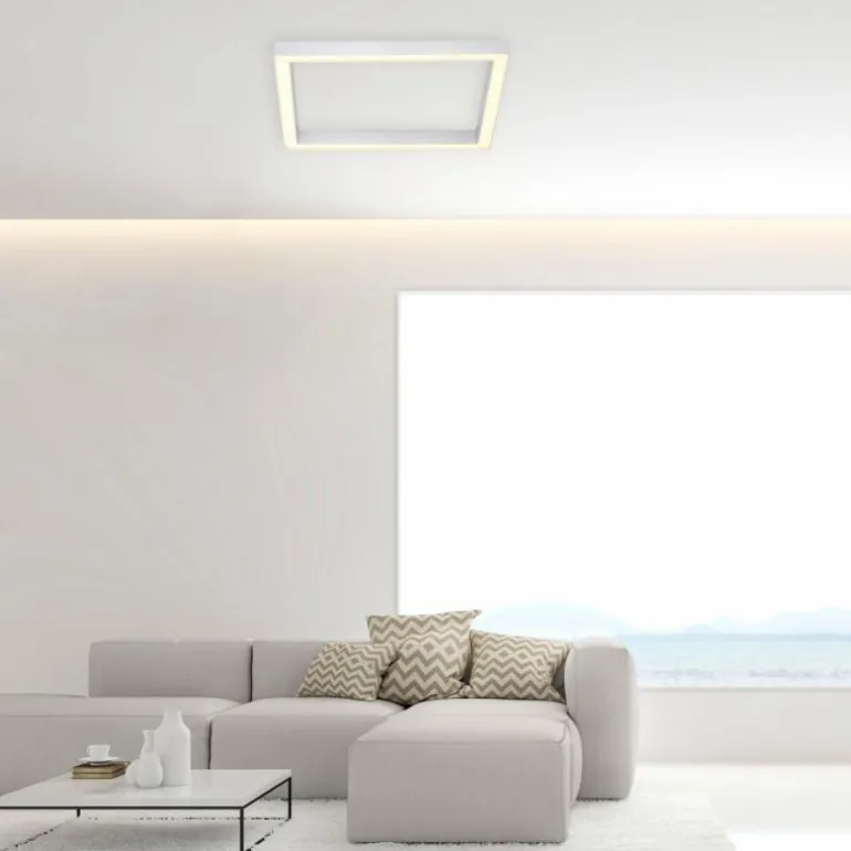 Plafonnier Paul Neuhaus PURE-LINES LED Aluminium, 1 lumière, Télécommandes