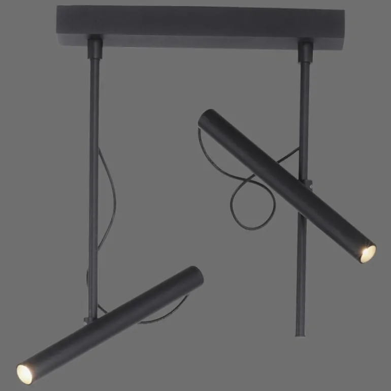 Plafonnier Paul Neuhaus PURE-TUTUA LED Noir, 2 lumières