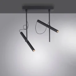 Plafonnier Paul Neuhaus PURE-TUTUA LED Noir, 2 lumières