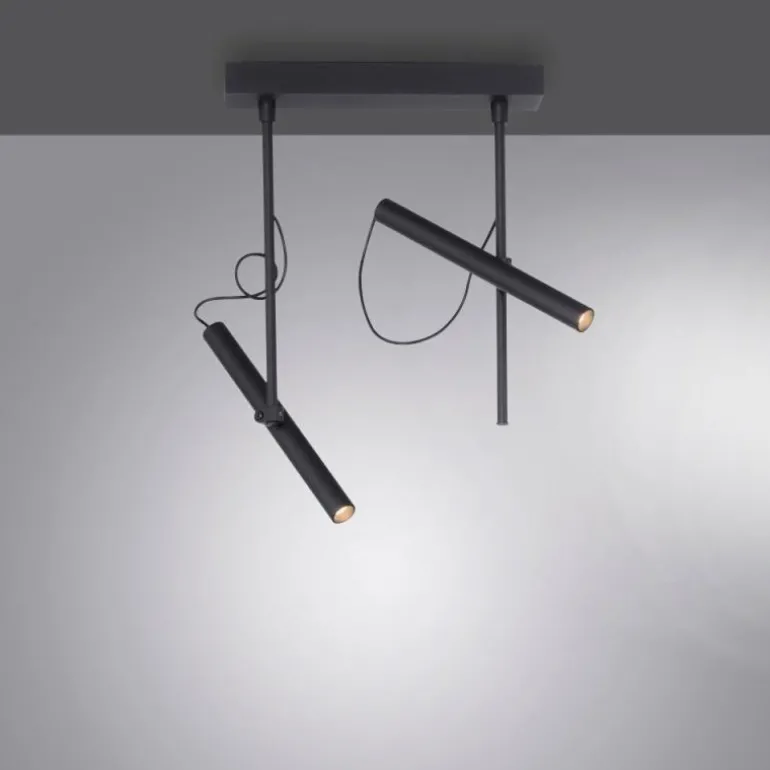 Plafonnier Paul Neuhaus PURE-TUTUA LED Noir, 2 lumières