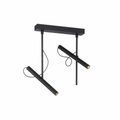 Plafonnier Paul Neuhaus PURE-TUTUA LED Noir, 2 lumières