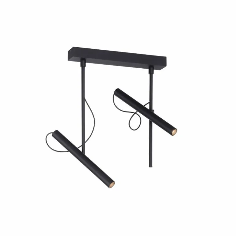 Plafonnier Paul Neuhaus PURE-TUTUA LED Noir, 2 lumières