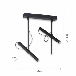 Plafonnier Paul Neuhaus PURE-TUTUA LED Noir, 2 lumières