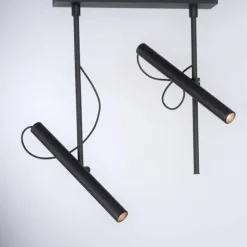 Plafonnier Paul Neuhaus PURE-TUTUA LED Noir, 2 lumières