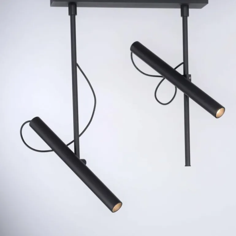 Plafonnier Paul Neuhaus PURE-TUTUA LED Noir, 2 lumières