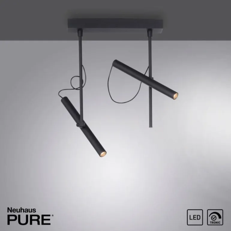 Plafonnier Paul Neuhaus PURE-TUTUA LED Noir, 2 lumières