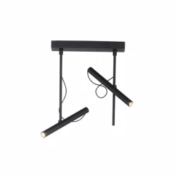 Plafonnier Paul Neuhaus PURE-TUTUA LED Noir, 2 lumières