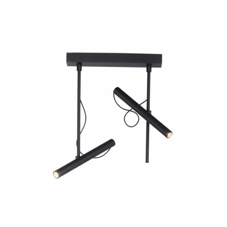 Plafonnier Paul Neuhaus PURE-TUTUA LED Noir, 2 lumières