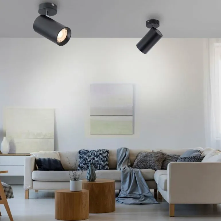 Plafonnier Paul Neuhaus PURE-TECHNIK LED Noir, 1 lumière