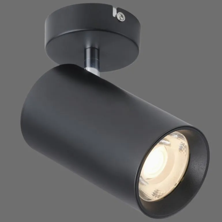 Plafonnier Paul Neuhaus PURE-TECHNIK LED Noir, 1 lumière