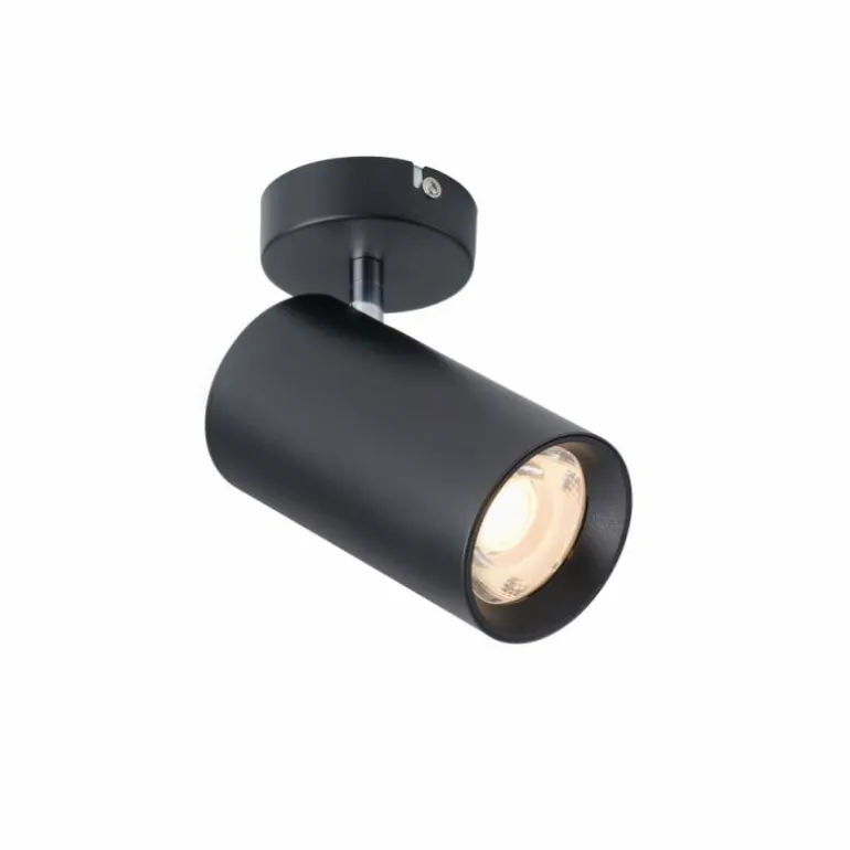 Plafonnier Paul Neuhaus PURE-TECHNIK LED Noir, 1 lumière
