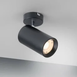 Plafonnier Paul Neuhaus PURE-TECHNIK LED Noir, 1 lumière