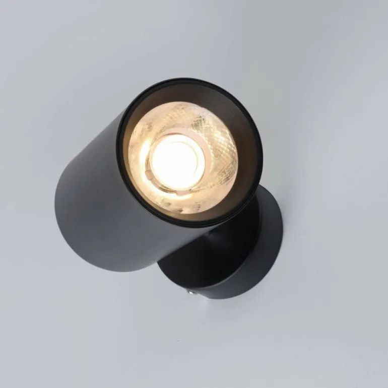 Plafonnier Paul Neuhaus PURE-TECHNIK LED Noir, 1 lumière