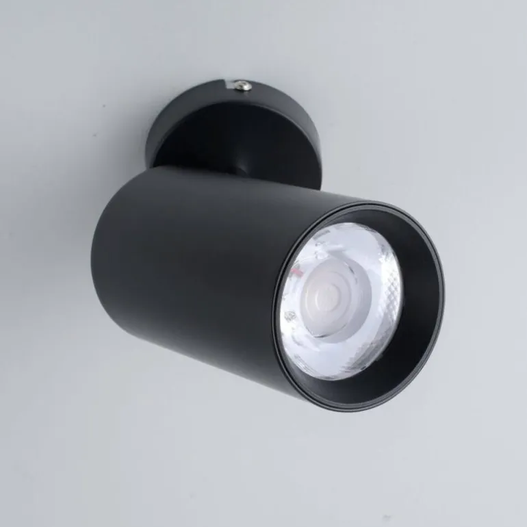 Plafonnier Paul Neuhaus PURE-TECHNIK LED Noir, 1 lumière