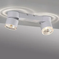 Plafonnier Paul Neuhaus PURE-NOLA LED Blanc, 2 lumières