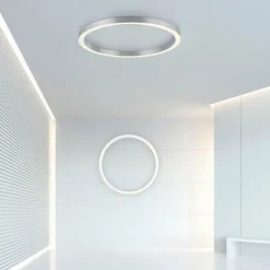 Plafonnier Paul Neuhaus PURE-LINES LED Argenté, 1 lumière, Télécommandes