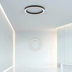 Plafonnier Paul Neuhaus PURE-LINES LED Anthracite, 1 lumière, Télécommandes