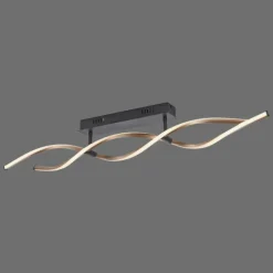 Plafonnier Paul Neuhaus POLINA LED Noir, 1 lumière