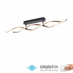 Plafonnier Paul Neuhaus POLINA LED Noir, 1 lumière