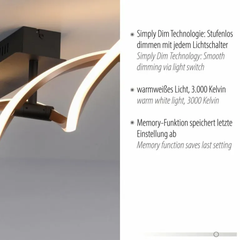 Plafonnier Paul Neuhaus POLINA LED Noir, 1 lumière