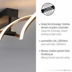 Plafonnier Paul Neuhaus POLINA LED Noir, 1 lumière