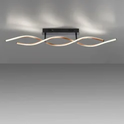 Plafonnier Paul Neuhaus POLINA LED Noir, 1 lumière