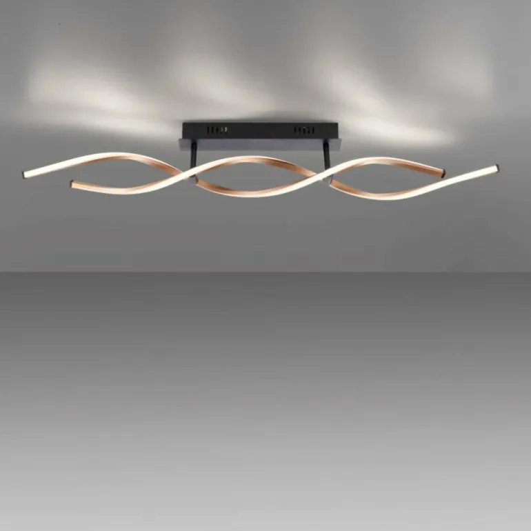 Plafonnier Paul Neuhaus POLINA LED Noir, 1 lumière