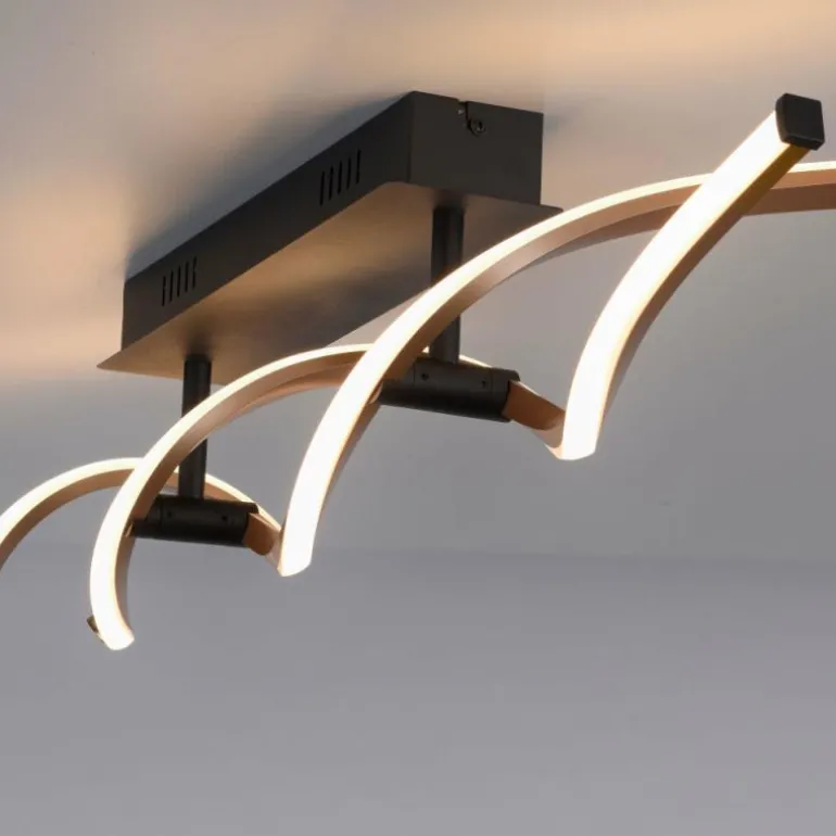 Plafonnier Paul Neuhaus POLINA LED Noir, 1 lumière