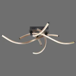 Plafonnier Paul Neuhaus POLINA LED Noir, 1 lumière