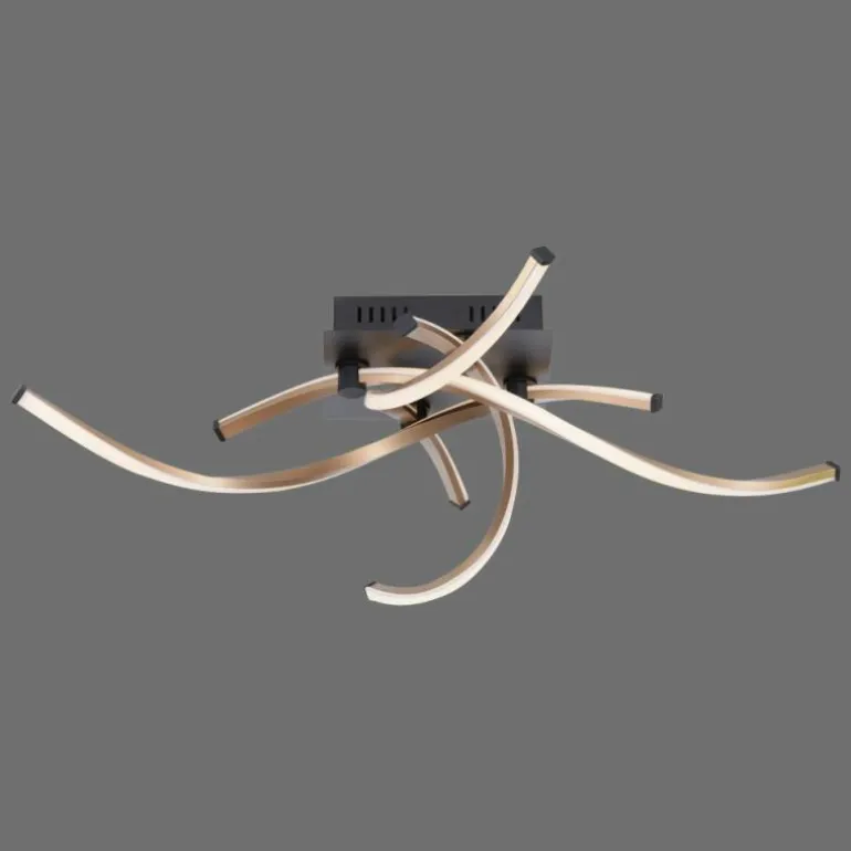 Plafonnier Paul Neuhaus POLINA LED Noir, 1 lumière