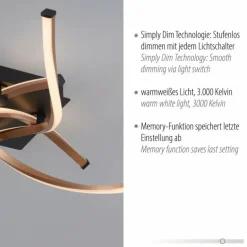 Plafonnier Paul Neuhaus POLINA LED Noir, 1 lumière