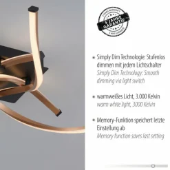 Plafonnier Paul Neuhaus POLINA LED Noir, 1 lumière